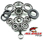 All Balls Racing Differential Bearing and Seal Kit (Part #25-2090)