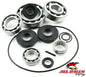 All Balls Racing Differential Bearing and Seal Kit 25-2091 for Enhanced Vehicle Performance