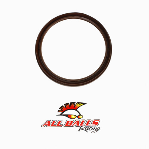 All Balls Racing Brake Drum Seal (Part #30-15801)