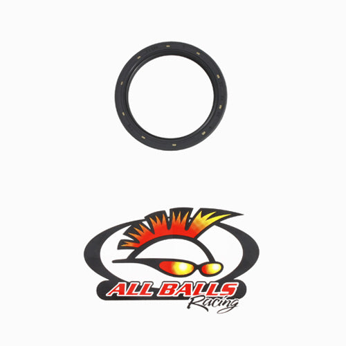 All Balls Racing Double Lipped Seal Part #30-6218 for Enhanced Seal Protection