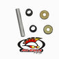 All Balls Racing A-Arm Kit (Part Number 50-1008)