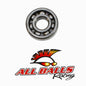 All Balls Racing Engine Bearing 6304-C3 - High-Performance Rod Bearing for Reliable Engine Operation