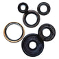 Vertex Engine Oil Seal Kit - Part Number 822978