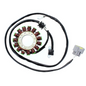 ELECTROSPRT STATOR - ESG943