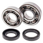 PROX Crankshaft Bearing & Seal Kit for Yamaha YFM350 (2005-2013) - Part Number 23.CBS23086