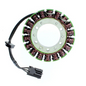 ELECTROSPORT STATOR BMW ESG874