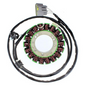 ELECTROSPORT STATOR YAMAHA ESG717