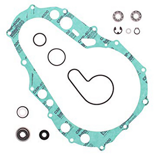 Vertex Water Pump Rebuild Kit (Part Number 821847)