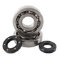 Hot Rod's Inc. Kawasaki Main Bearing & Seal Kit (Part K227)