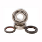 Hot Rods Inc Yamaha Main Bearing & Seal Kit (Part K017)