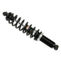 BRONCO GAS SHOCK, POLARIS