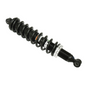 BRONCO GAS SHOCKS