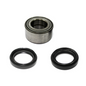 BRONCO WHEEL BEARING KIT