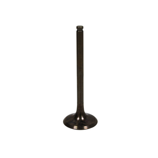 BRONCO EXHAUST VALVE