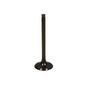 BRONCO EXHAUST VALVE