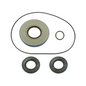 BRONCO DIFFERENTIAL SEAL KIT - REAR