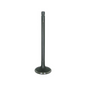 BRONCO INTAKE VALVE