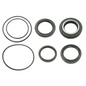 BRONCO DIFFERENTIAL SEAL KIT - REAR