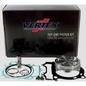 Vertex Top End Piston Kit VTKTC23909A for Heavy Equipment Engines