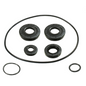 BRONCO DIFFERENTIAL SEAL KIT - REAR