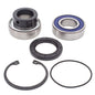 All Balls Racing Snowmobile Chain Case Bearing & Seal Kit (Part #14-1001)