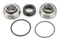 All Balls Racing Snowmobile Chain Case Bearing & Seal Kit - Part #14-1008