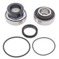 All Balls Racing Snowmobile Chain Case Bearing & Seal Kit (Part #14-1009)