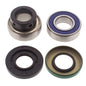All Balls Racing Snowmobile Chain Case Bearing & Seal Kit - Part Number 14-1020