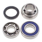 All Balls Racing Snowmobile Chain Case Bearing & Seal Kit (Part Number 14-1032)