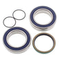 All Balls Racing Snowmobile Chain Case Bearing & Seal Kit (Part Number 14-1035)