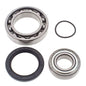 All Balls Racing Snowmobile Chain Case Bearing & Seal Kit (Part #14-1041)