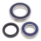 All Balls Racing Snowmobile Chain Case Bearing & Seal Kit (Part #14-1044)