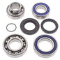 All Balls Racing Snowmobile Chain Case Bearing & Seal Kit (Part #14-1059)