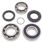 All Balls Racing Snowmobile Chain Case Bearing & Seal Kit - Part No. 14-1060