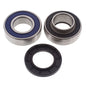 All Balls Racing Jackshaft Bearing Kit (Part Number 14-1061)