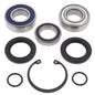 All Balls Racing Chaincase Bearing Kit for Indy 500 – Part Number 14-1068