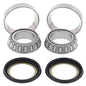 All Balls Racing Steering Bearing Kit (Part #22-1002)