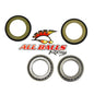 All Balls Racing Steering Stem Bearing Kit (Part #22-1010)