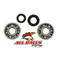 All Balls Racing Crank Bearing and Seal Kit (Part #24-1002)