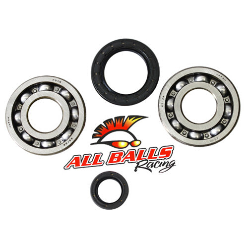 All Balls Racing Crank Bearing and Seal Kit (Part #24-1004)