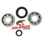 All Balls Racing Crank Bearing and Seal Kit (Part #24-1004)