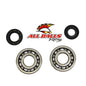 All Balls Racing Crank Bearing and Seal Kit (Part #24-1010)