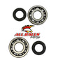 All Balls Racing Crank Bearing and Seal Kit (Part #24-1011) for Enhanced Engine Performance