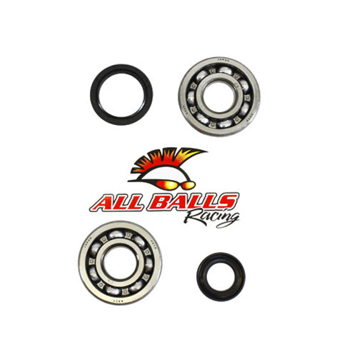 All Balls Racing Crank Bearing and Seal Kit (Part Number 24-1014)