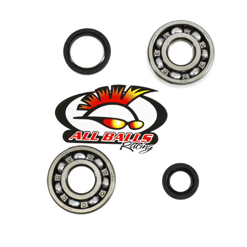 All Balls Racing Crank Bearing and Seal Kit (Part #24-1016)
