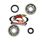 All Balls Racing Crank Bearing and Seal Kit (Part #24-1016)