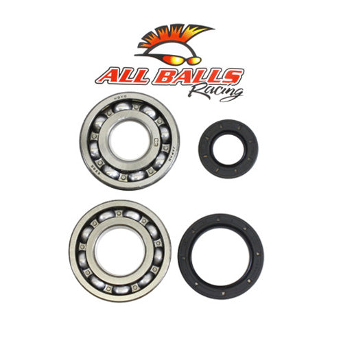 All Balls Racing Crank Bearing and Seal Kit (Part #24-1017)