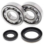 All Balls Racing Crank Bearing and Seal Kit - Part Number 24-1019