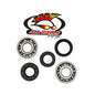 All Balls Racing Crank Bearing and Seal Kit (Part #24-1022)