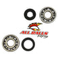 All Balls Racing Crank Bearing and Seal Kit (Part #24-1025)